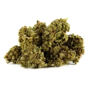 CBD Blüten Girl Scout Cookies CBD-girl-scout-cookies 1